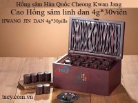 Korean Red Ginseng Extract Pill - Hwangjindan 30 